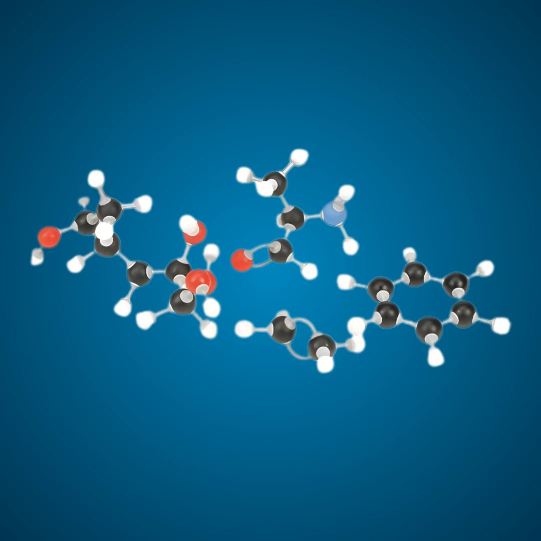 Molecular Model Set - Bio Chemistry Set - Student