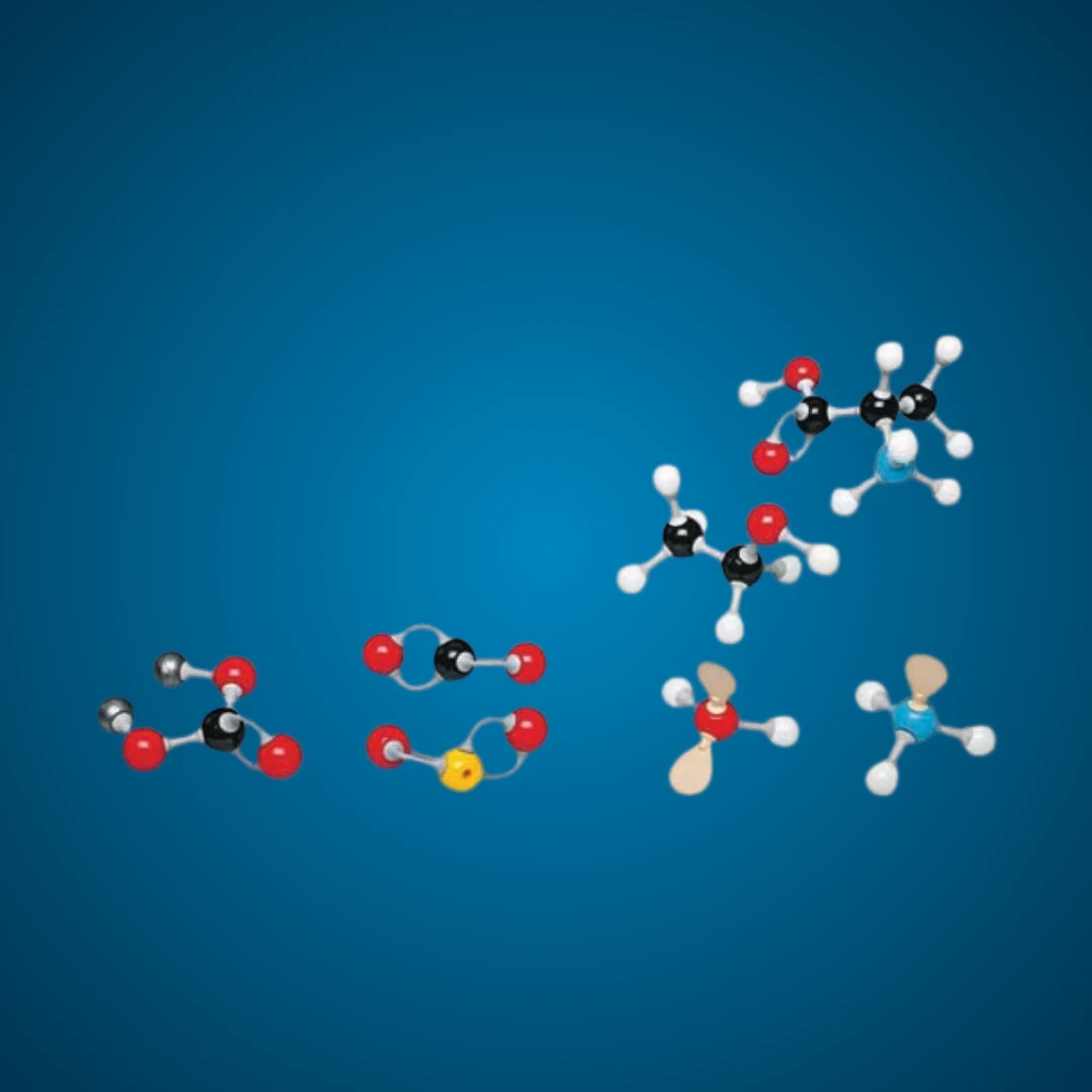Molecular Model Set - Inorganic / Organic Set - Student