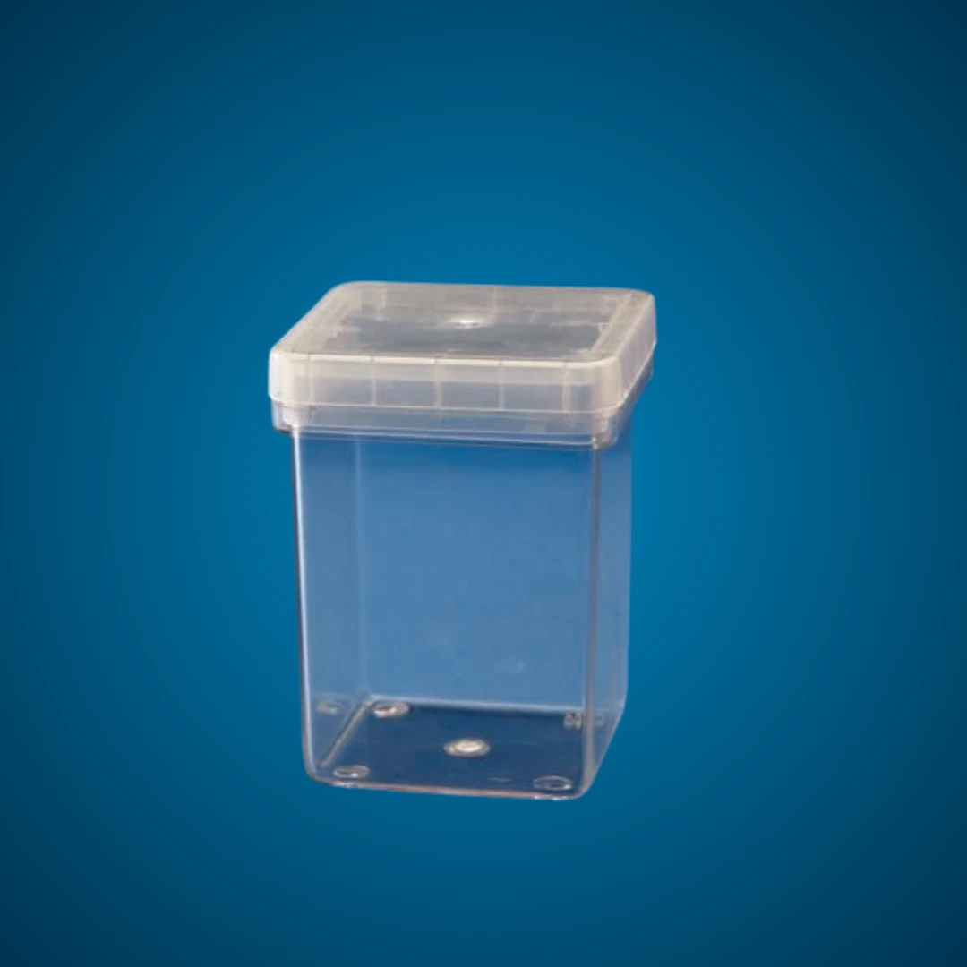 Magenta Box