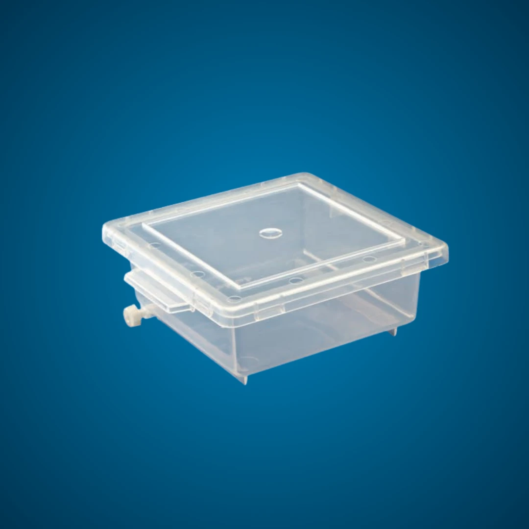 Staining Box
