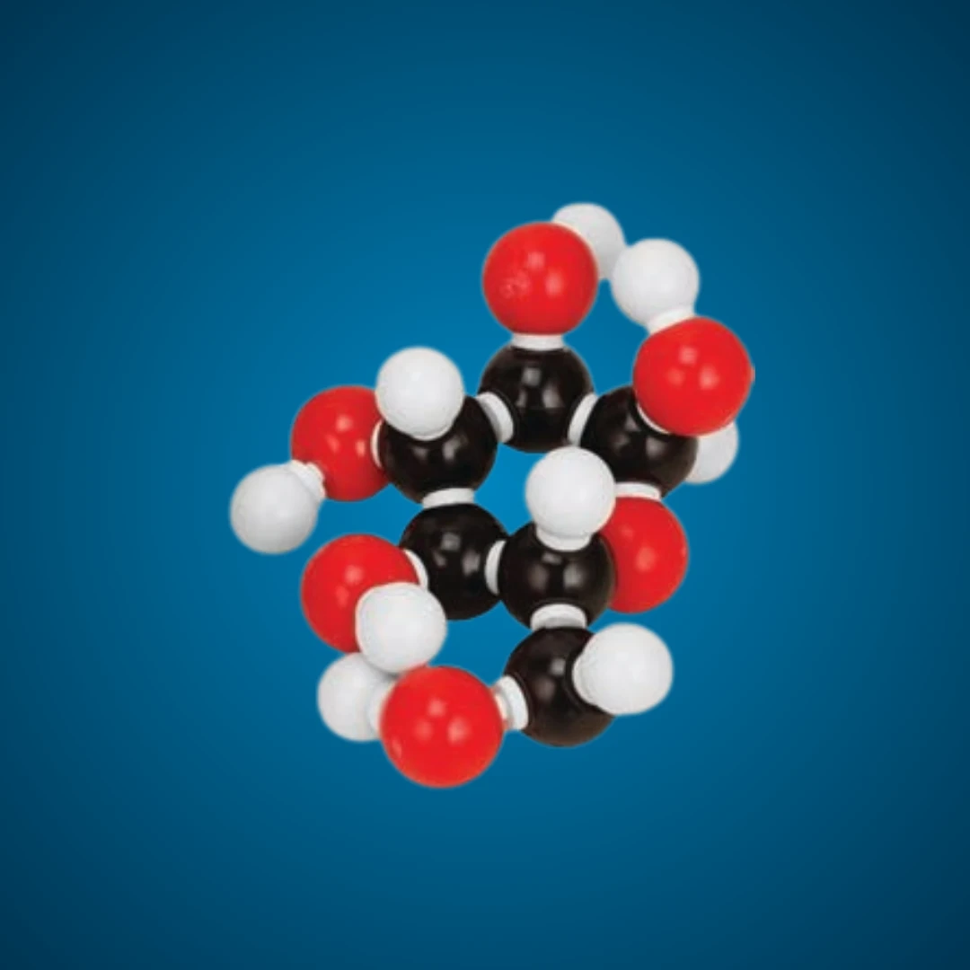 Molecular Model Set - Glucose (C₆H₁₂O₆)