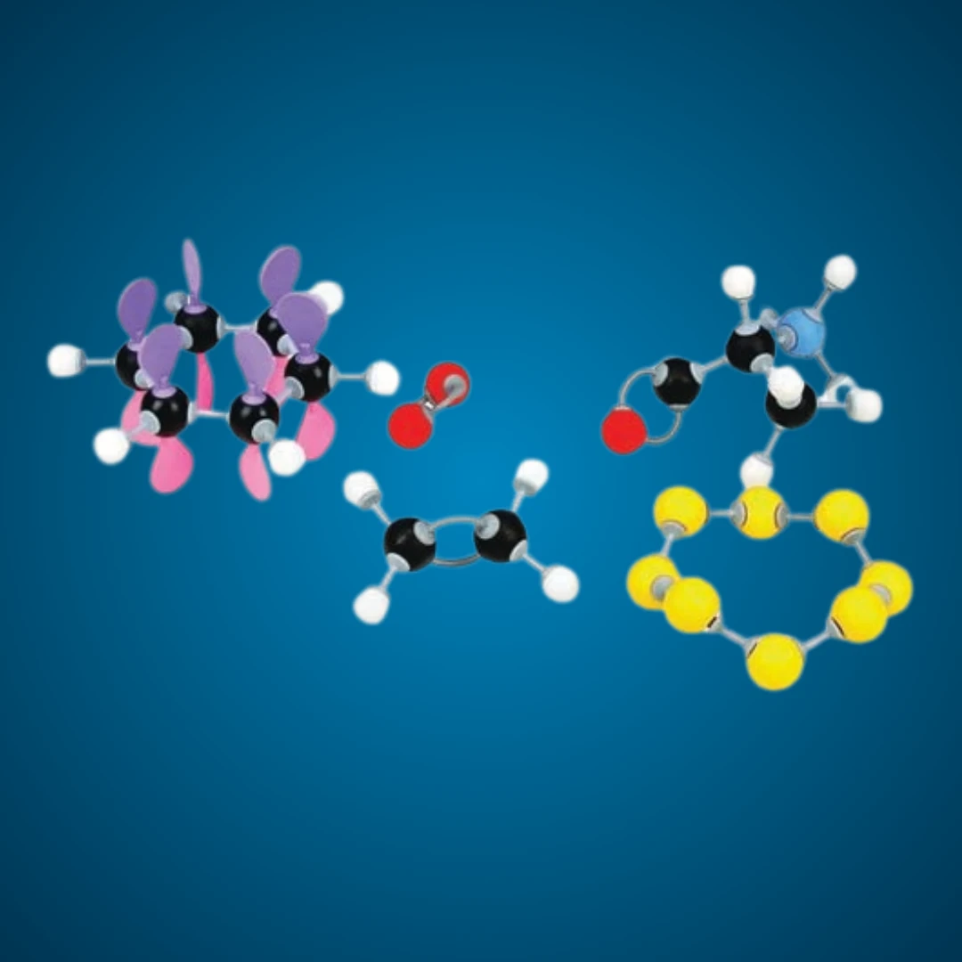 Molecular Model Set - Organic Stereo Chemistry Set - Student