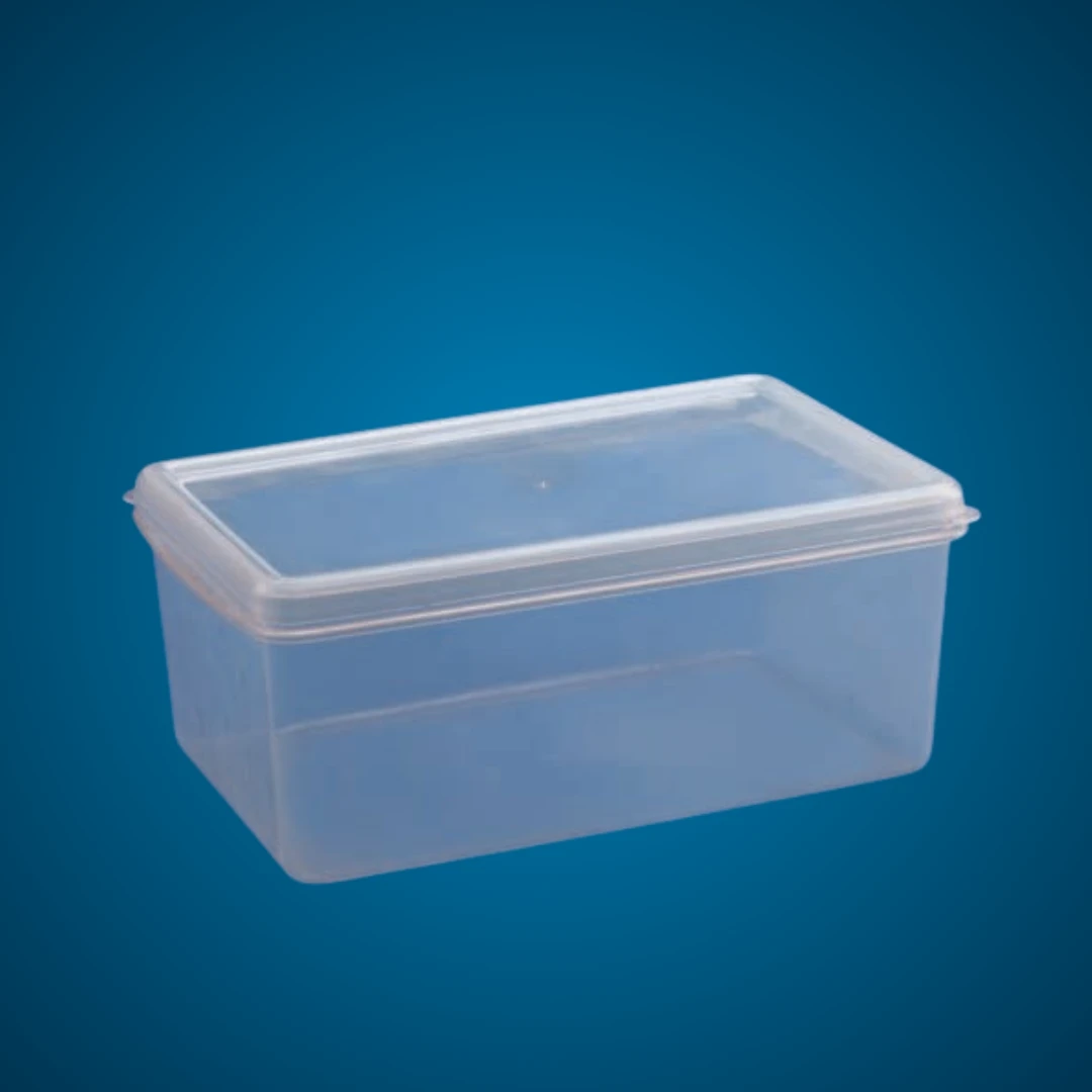 Multi Purpose Rectangular Storage Box